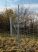 Kerítés, vadháló oszlop, egy oldalon végig fülekkel, horganyzott, acél, Meiser 230 cm-től